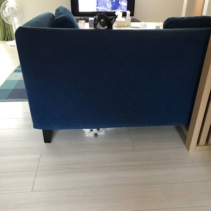 78106aff fe24 4bef 9901 0fe778fb6a3e