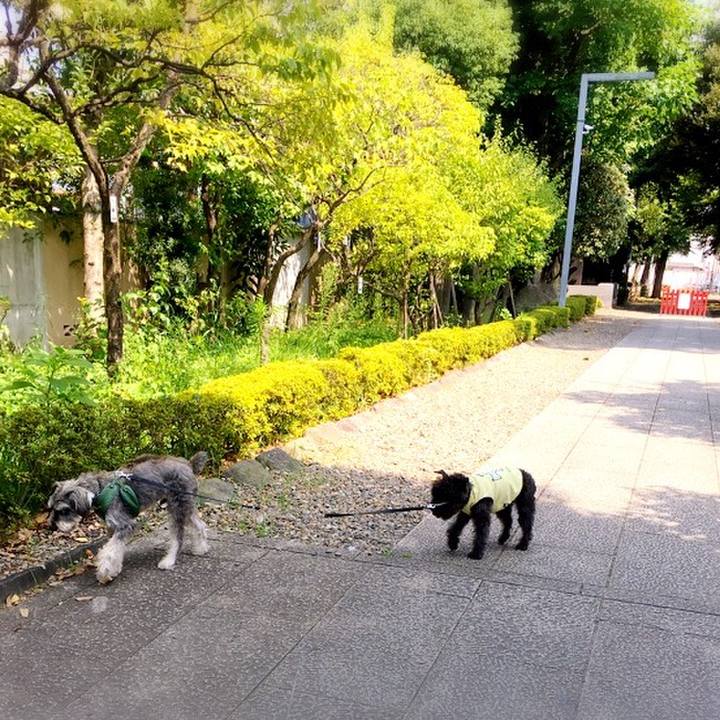 781076f9 3af5 4ee1 8f38 27605f71d930