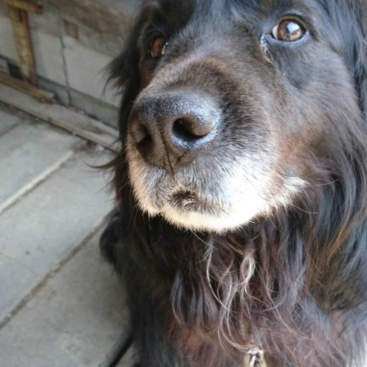 7810adb2 ff4c 408c 84c8 018f50c78af9