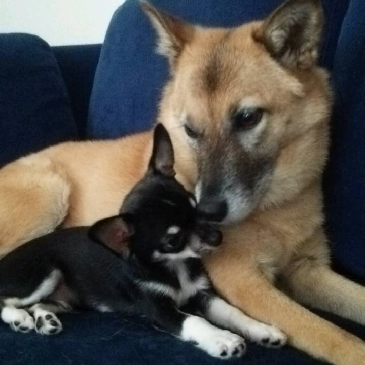 7810d6b9 4f72 4842 be74 42fddb0e5ea8