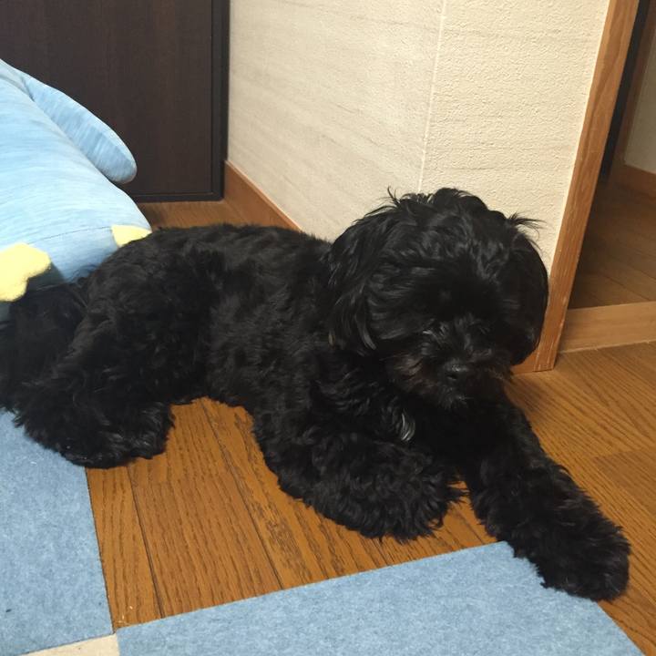 781124b4 8176 4b28 bb80 5eda96201392