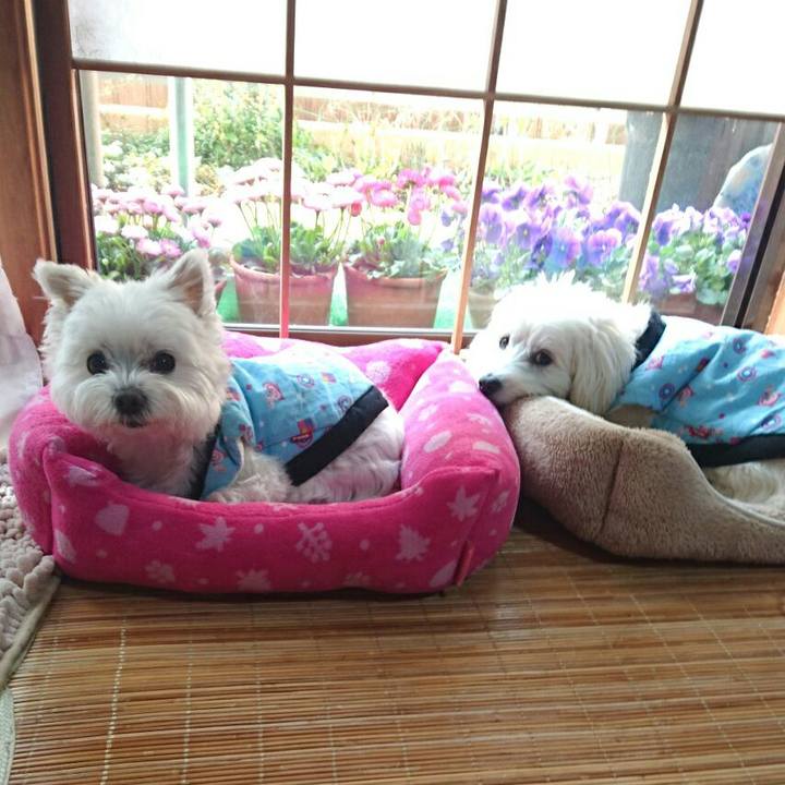 78116e87 3858 4224 954e 935445275146