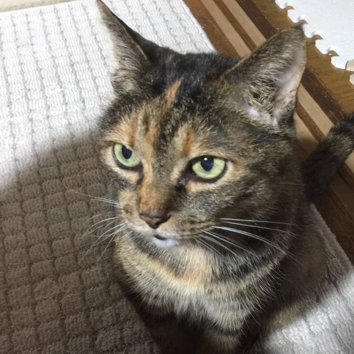 7811c960 594a 417f b445 38c5624b4bcb