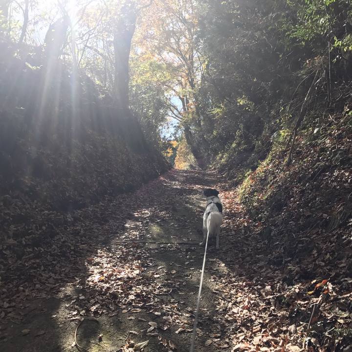 7811fcd5 ff46 4f10 a36f c426d16e5b52