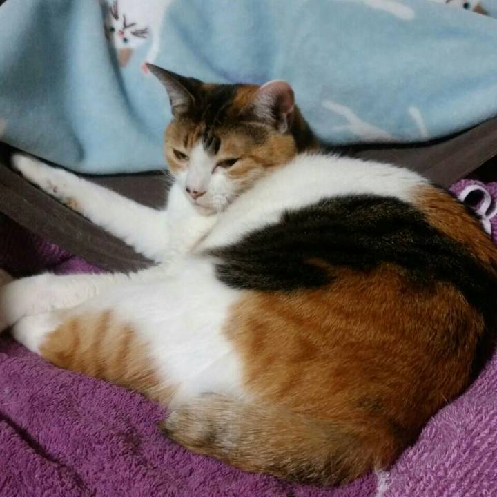 78121914 00fd 406b 818a 887ed942347a