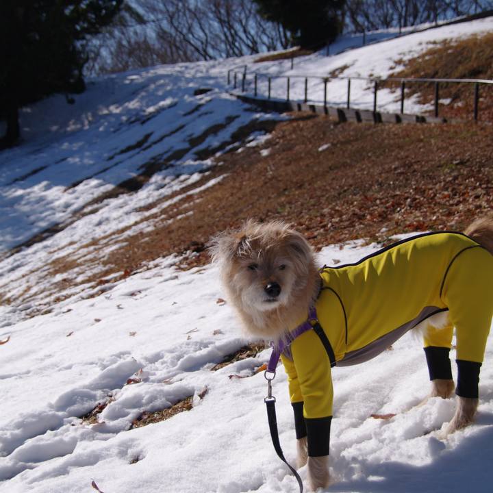 781282b6 f4db 4bcb 9e1d 64a45b92e255