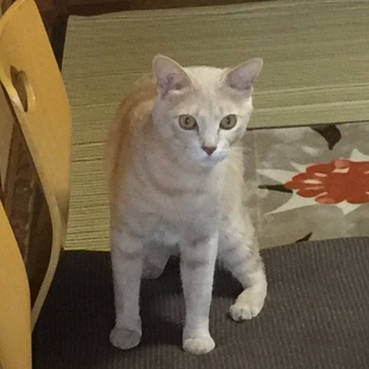 78129e47 aa36 43f2 8ce4 4896000ae41d