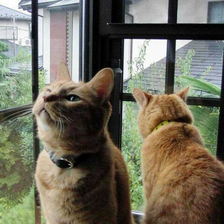 7814409e 9e3f 4888 a548 e43a62c695fb