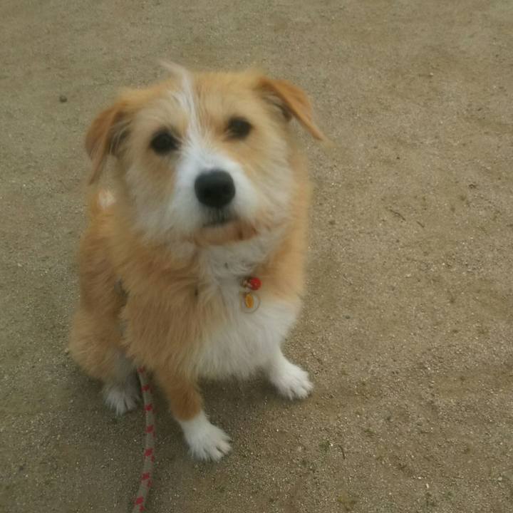 78163cf9 2fb0 432a abb9 a3d49af5bb50