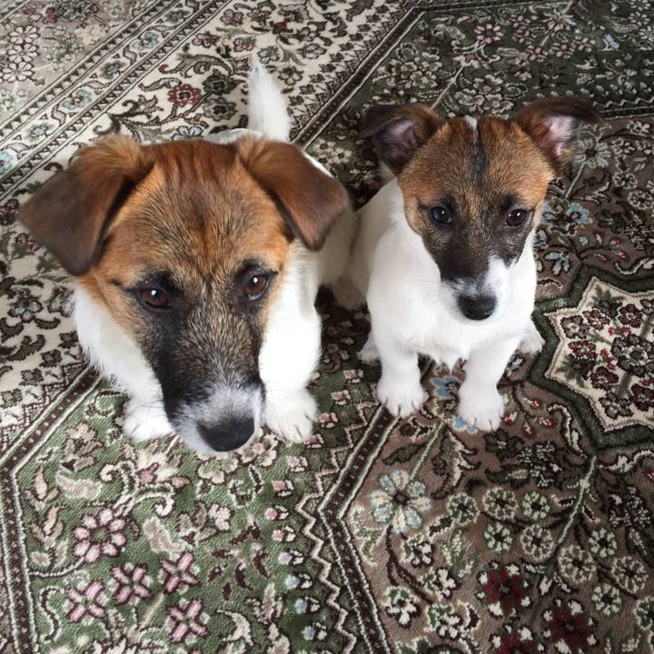 7816848f 4fe6 4296 b704 578ff4070c7e