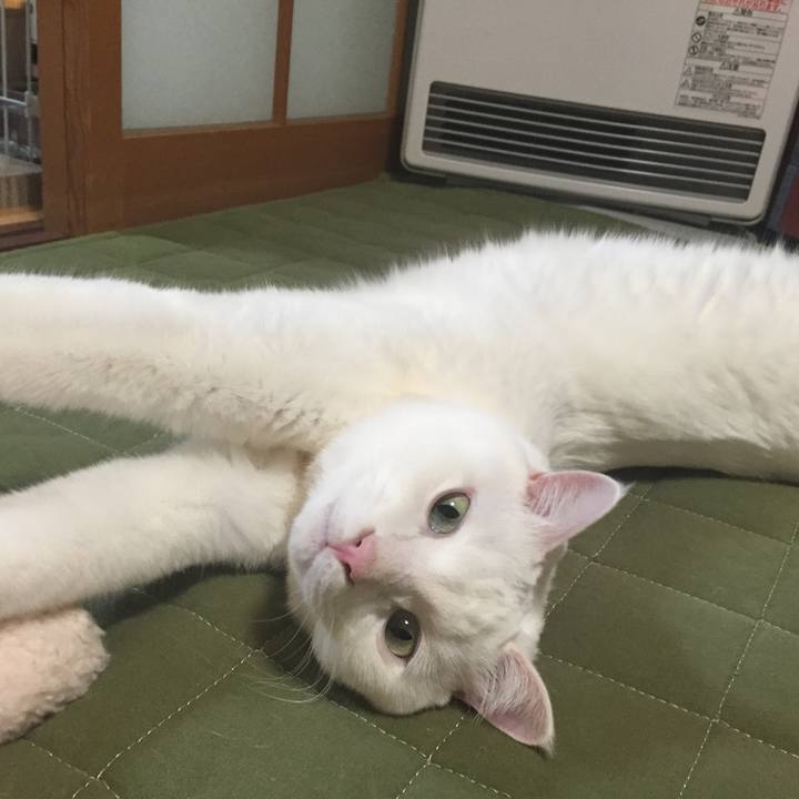 781694ae 97ee 4e5e ad19 3caebf3c920d