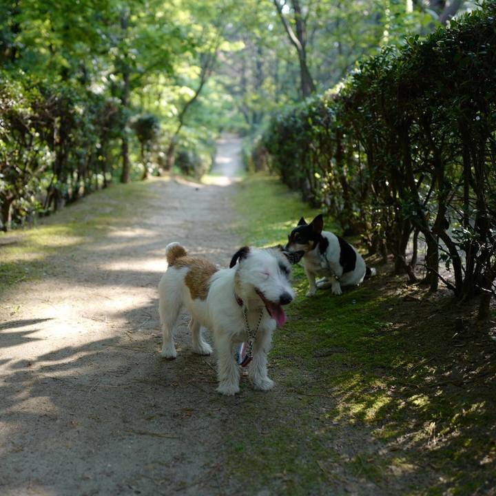 7816c9fe 2ad2 4533 a388 53d6c7a30b96