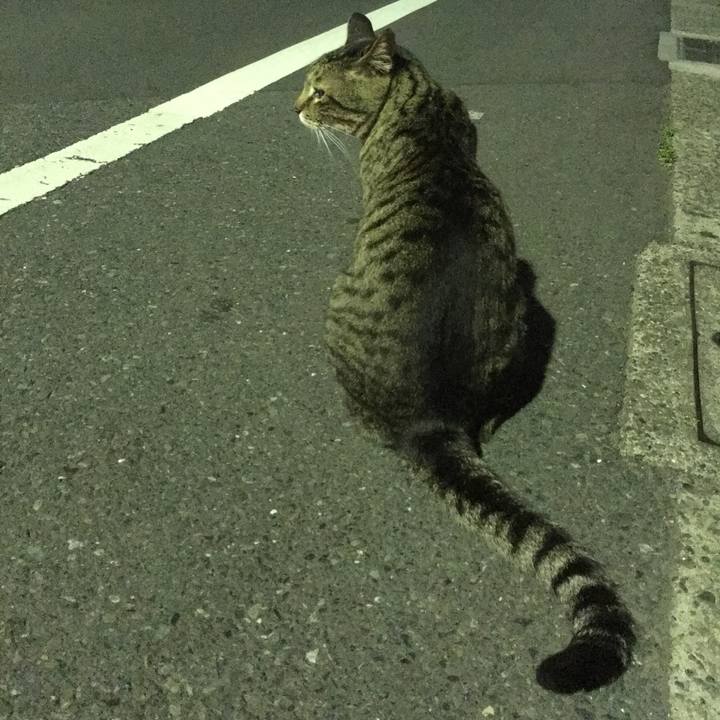 78171e83 e6d1 4107 972d 38795459cab9