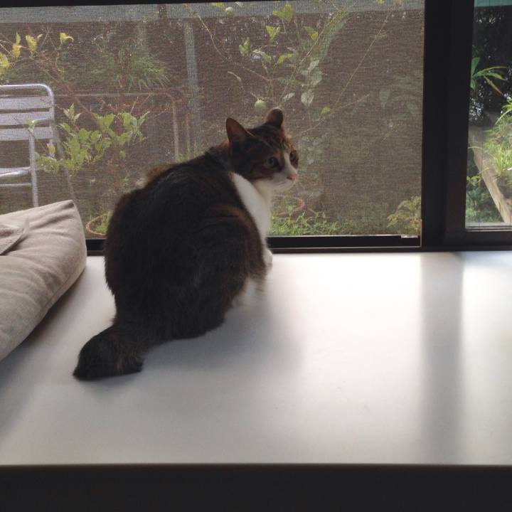 7817465a 0804 4080 92c0 8a96fa9e8be5