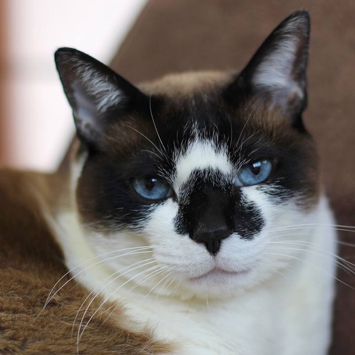 78175bfa c21a 4884 a117 c0aeb8a2b4a8