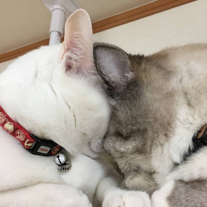 78176bea 9244 41c8 9a47 db51a61c57b5