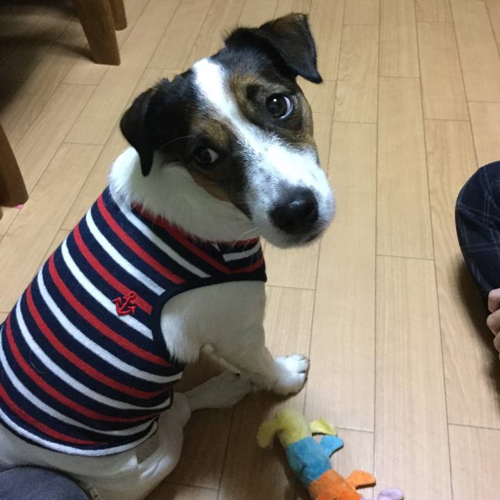 781788a9 8c90 4359 a80e 0fa285f15cba