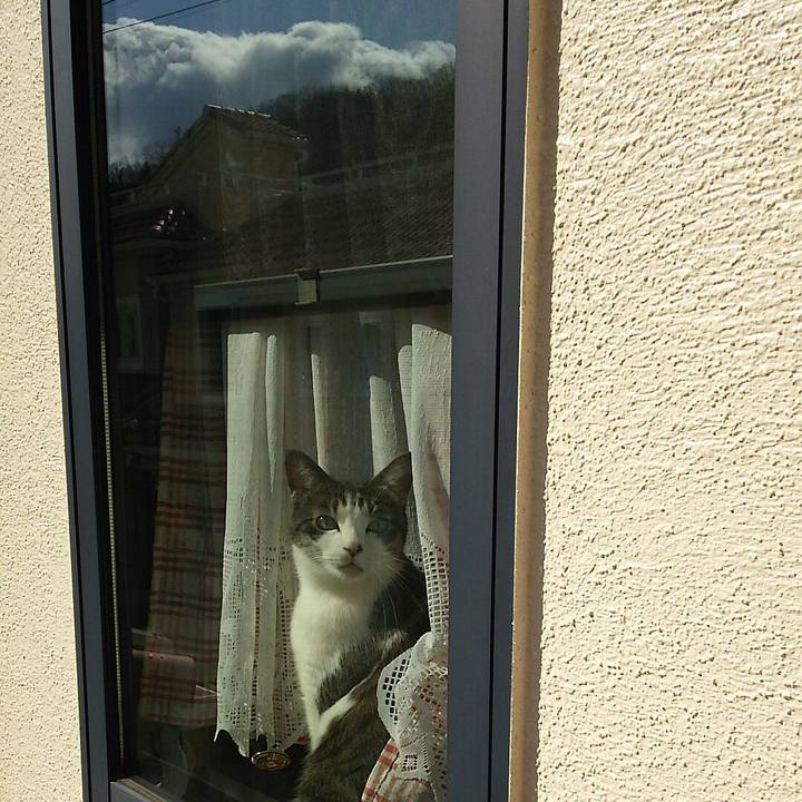 7817acd6 049f 4d05 a7fb 73931bb84913