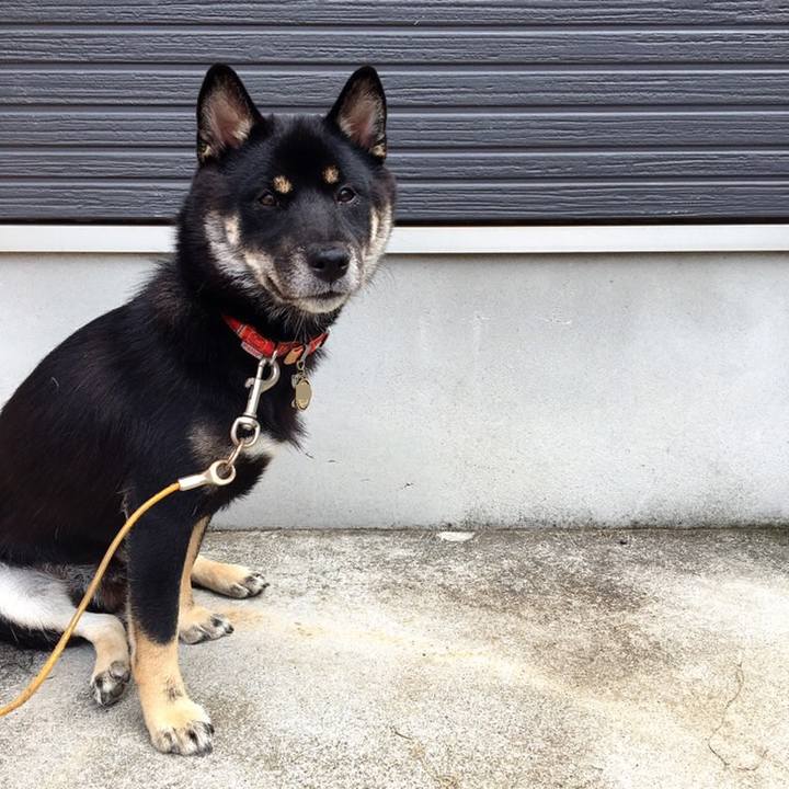 7817e1b1 4e0a 4ab6 b946 868a753709a0