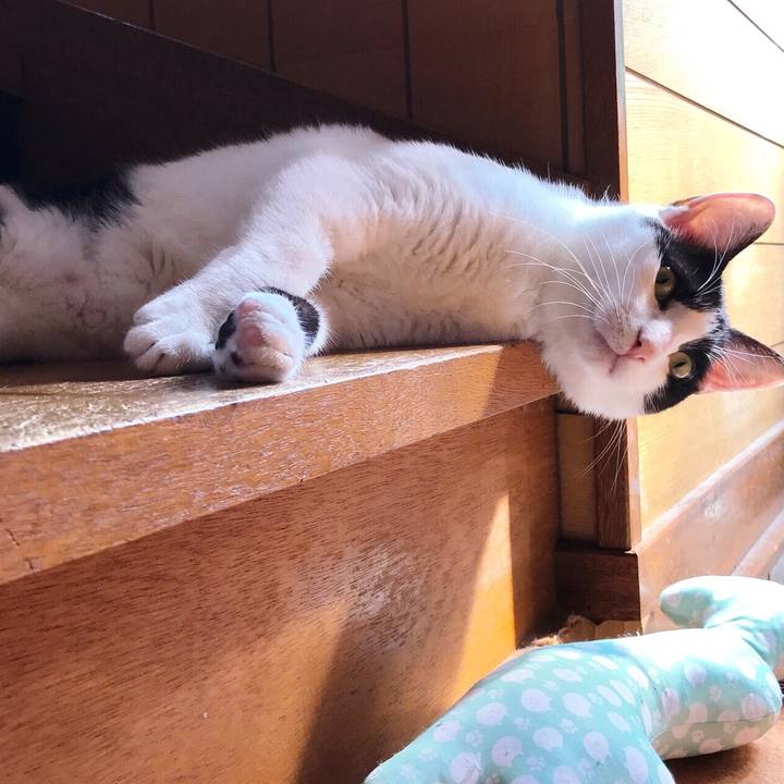 7818454e 6e34 40d9 a8ef f6776382839d