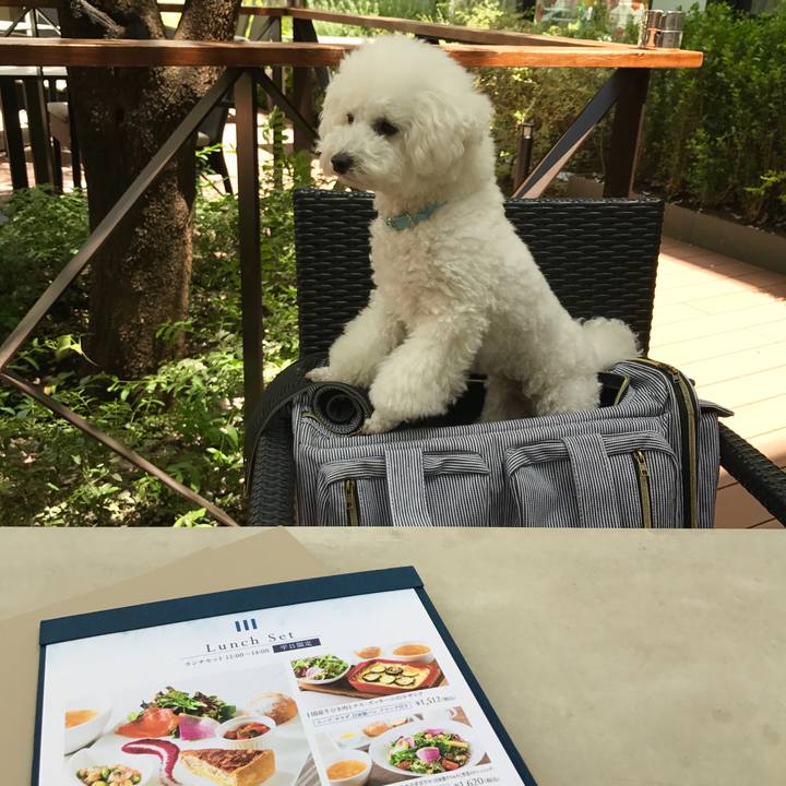 78190536 345a 45a6 a514 2d1a0740dcc1