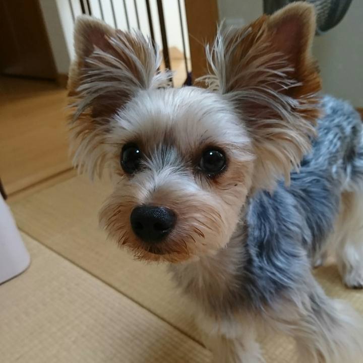 781920b0 b740 4be4 9d70 d9286f8c8d65