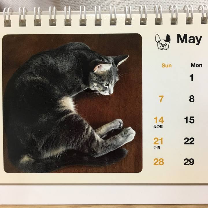 78199c75 2f8e 4d04 8c28 1b0980dcc83c