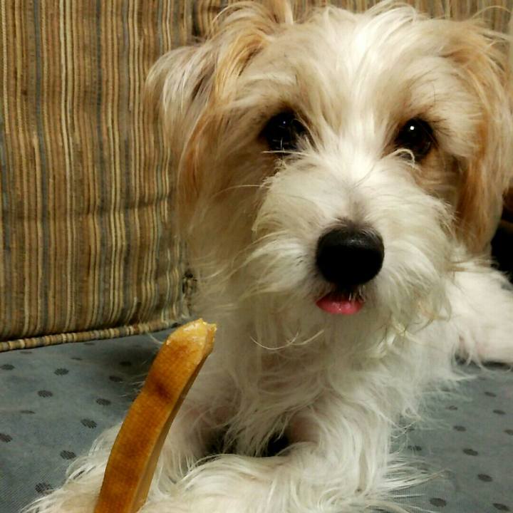 7819b757 bf8d 438b b184 4ae48b82a9b1