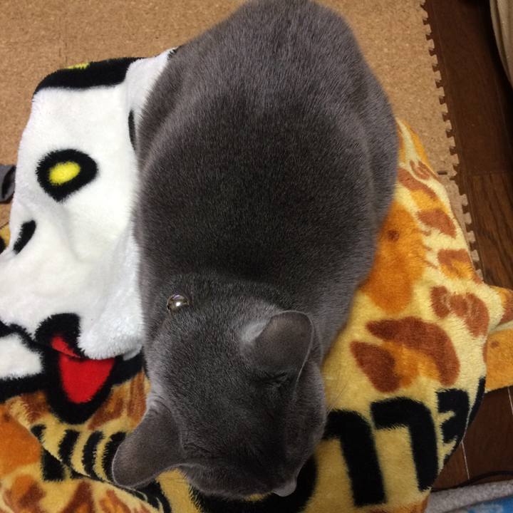 7819f69f a54c 44ef 9a9d f4b6162761d4