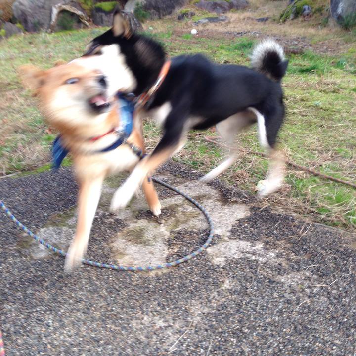 781a68f0 e6fa 4987 94d8 7666c07fab35