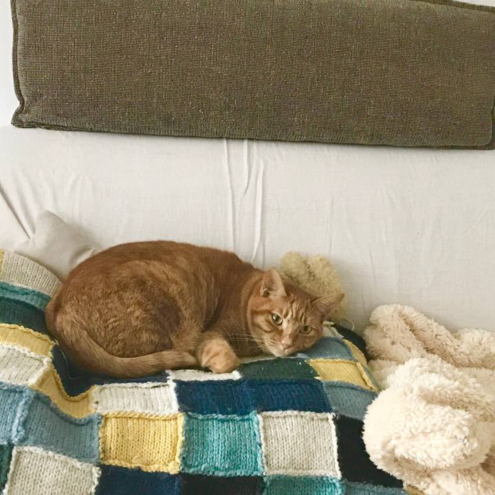 781a8fd2 b1b4 4e5a 92ee 532fea04f21c