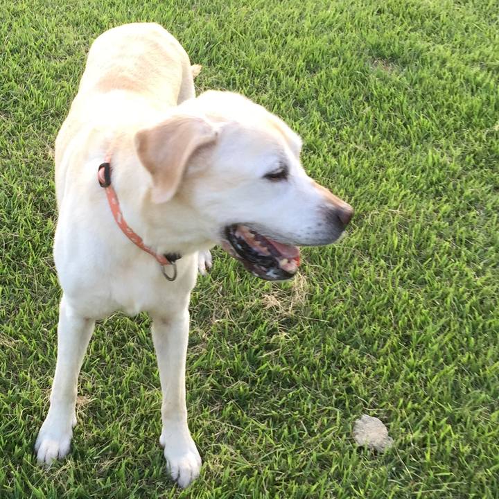 781ba64c 428c 44a9 afb9 5e8994cc249c