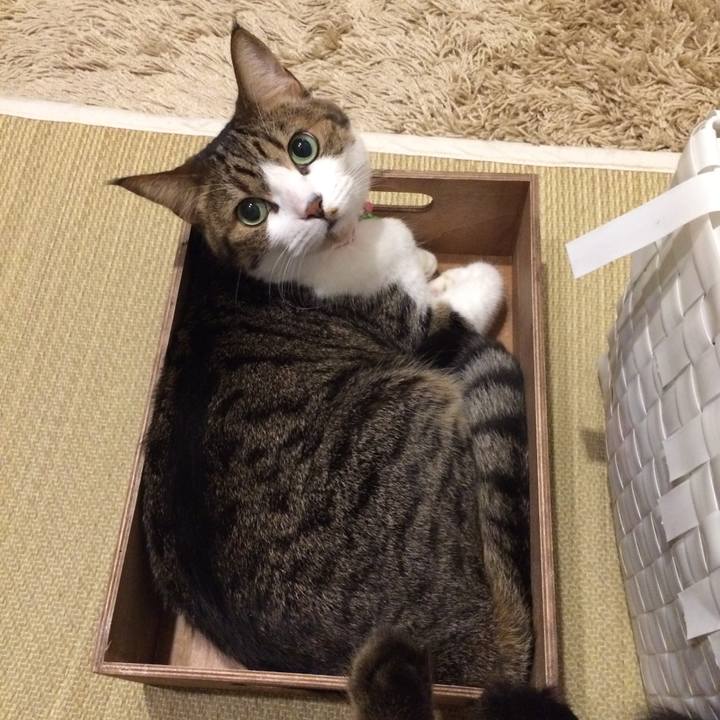 781bd286 e321 41d2 b72b 9a3537eb46b3