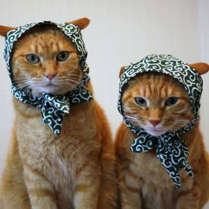 781be6d8 c5b4 4275 836a 7448ac021821