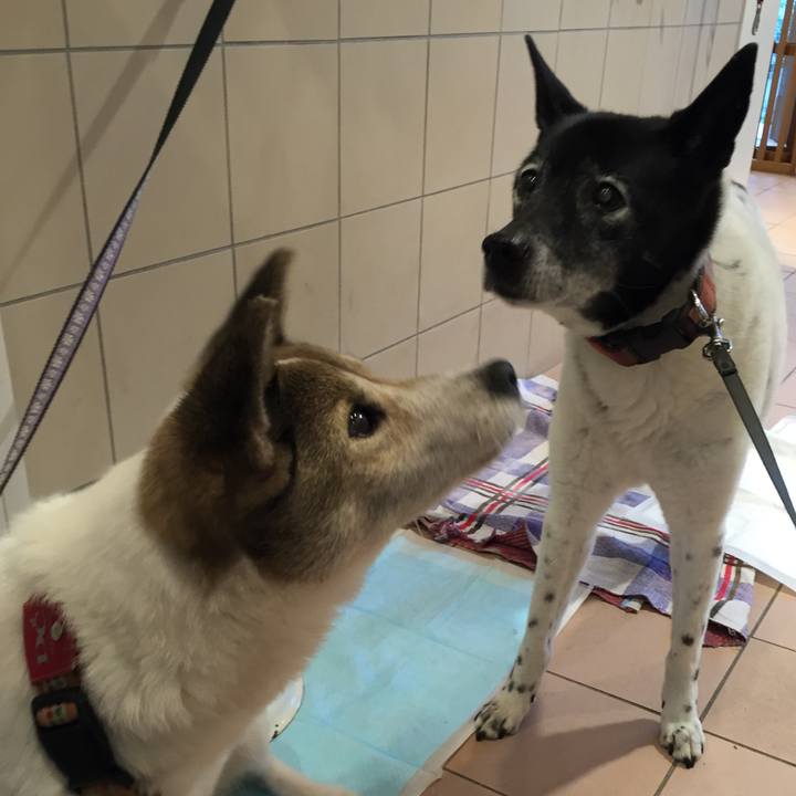 781c5351 3dec 4dea 93d9 bf06b367398a