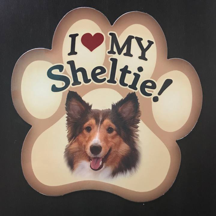 781ce5ff dd94 4348 b3e1 5282ca212772