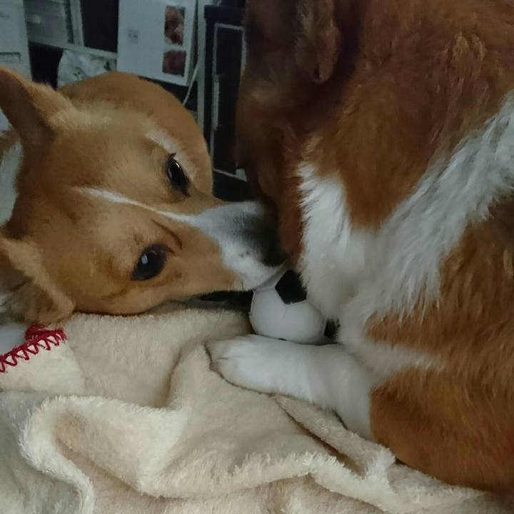 781ddb22 33cf 4fec 8aaa b2af8c72c0a0