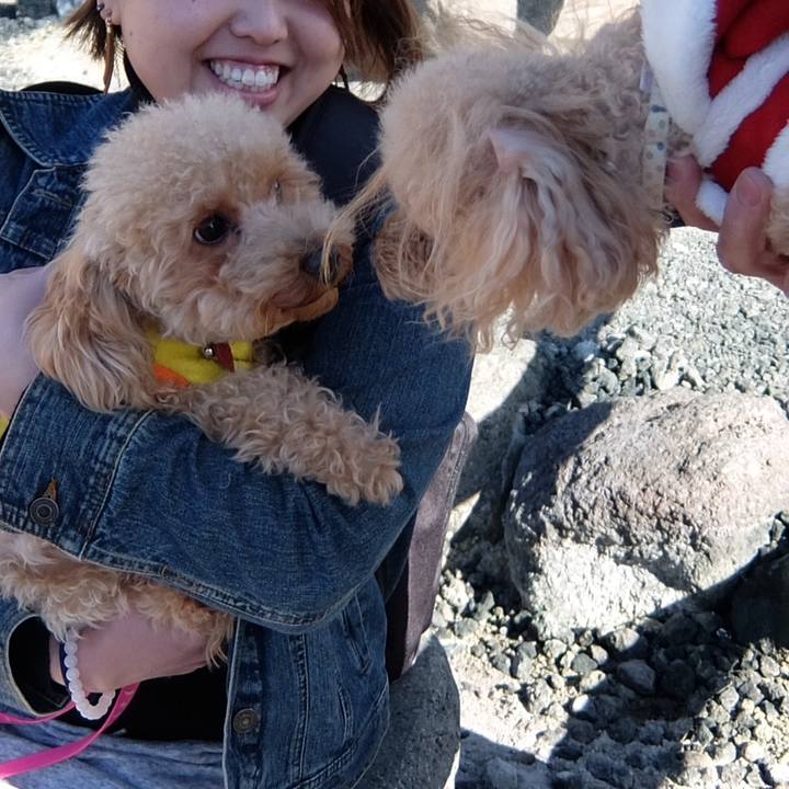 781e4778 718f 44c8 b676 8c9bbf04bba9