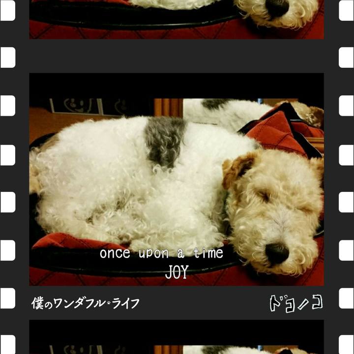 781f05d6 4255 4ada 86fe 75a8d283b92c