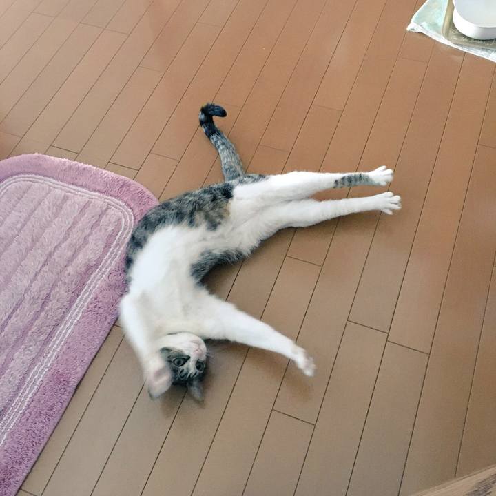 781f6741 35a9 40f2 a4e2 bced75afcaea