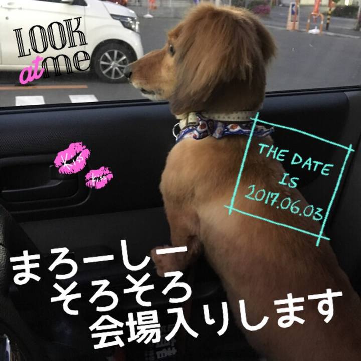 781fa695 2011 42bd bae7 006bfa2bbae9