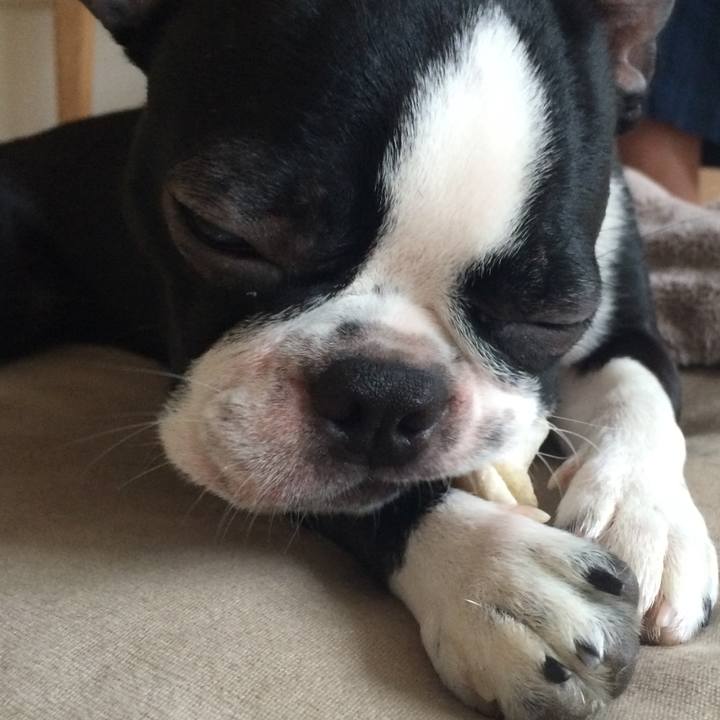 781ffb86 0821 4966 8710 3089c4178850