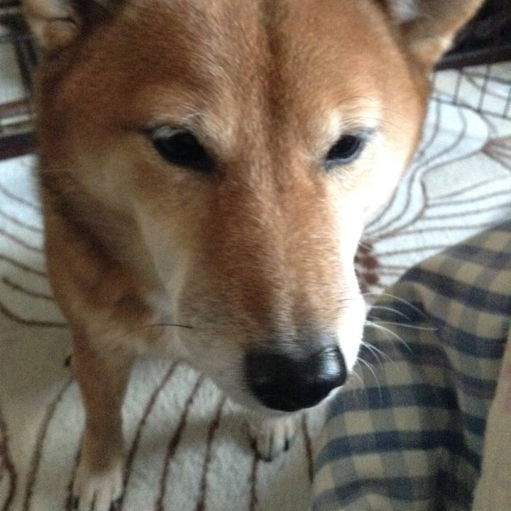 7820755f d5cd 40cc b912 a07e8d26ca66