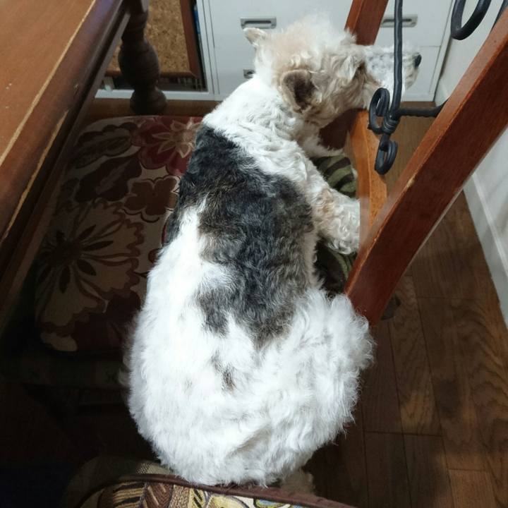 78207624 0146 459e 8fe0 5be26b1366fa