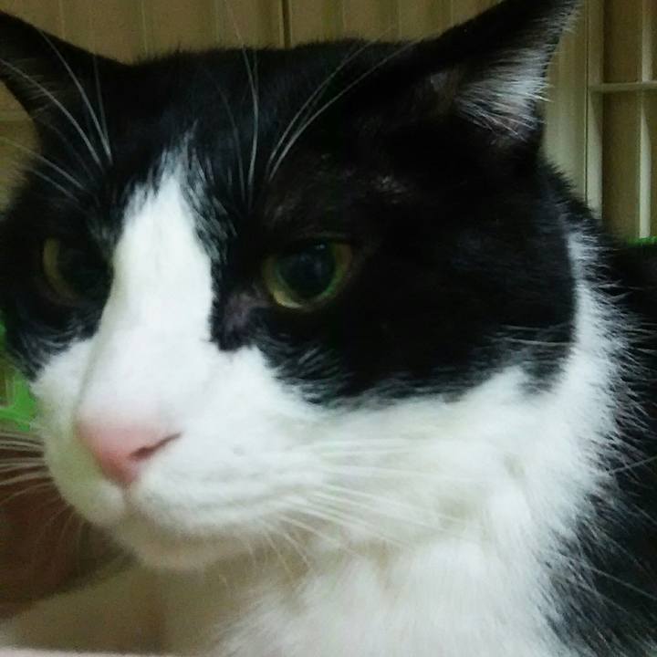 7820b834 58c9 44cb 9b34 df86b5bdafe4