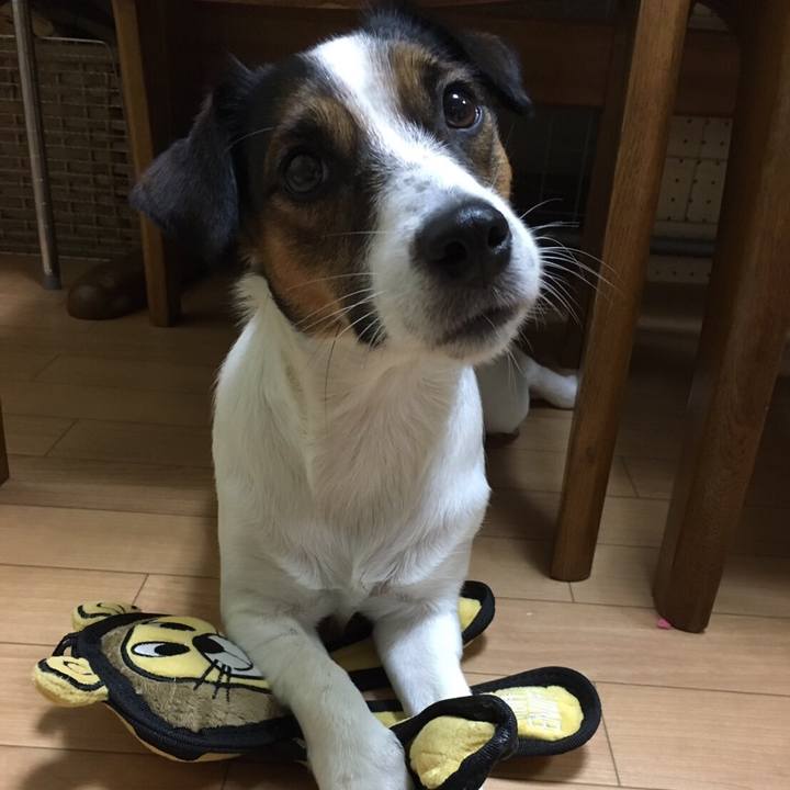 7820e0b2 5af6 4132 bca6 67837a5150d9