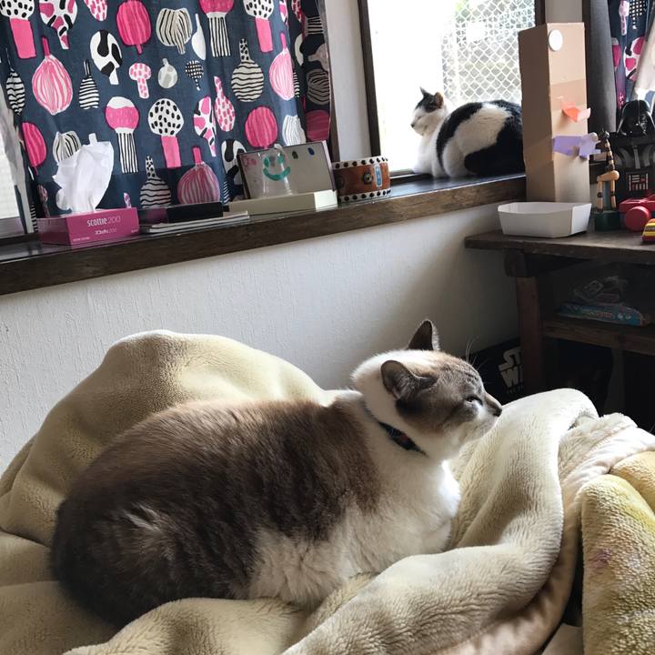 7820e0ec 9ec0 4681 b916 d7a0c6df5eba