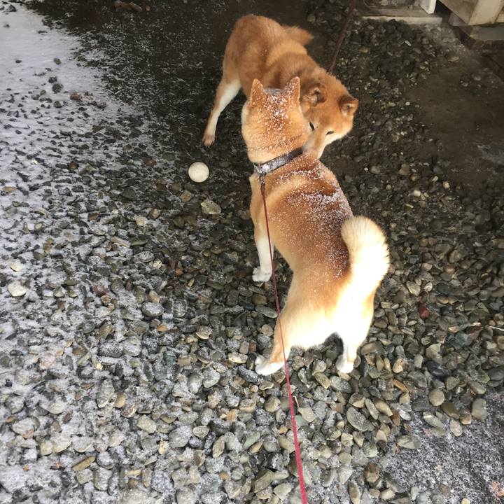 78210aac 5d6c 4b2c 841e 831be5ccb655