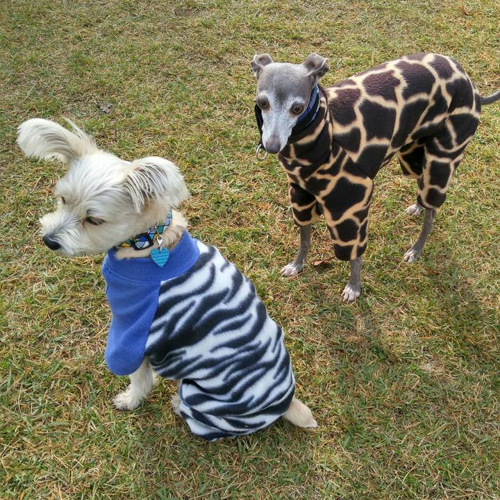 78211e76 cfb1 482c bd5a 8ad3747384c4