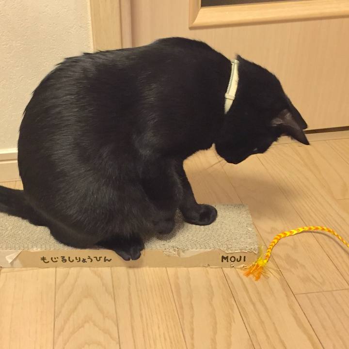 78214924 cdec 4fd5 81d1 a869221dfadc